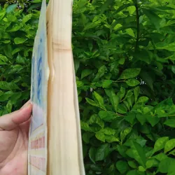 Trần Văn Giáp với sự nghiệp bảo tồn văn hóa dân tộc  1001310