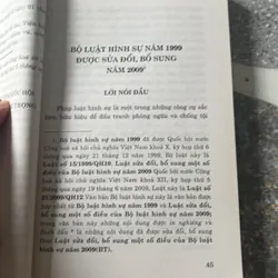Bộ luật hình sự 1999 sửa đổi 2009 457861