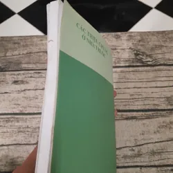 Các triệu chứng ở nhà thuốc. Hướng dẫn xử lý. Ấn bản tiếng Việt. Alison Blenkknsopp 602657