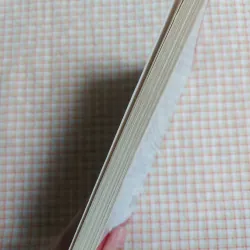 FINN FAMILY MOOMINTROLL - Tove Jansson 961661