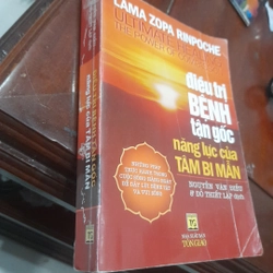 ĐIỀU TRỊ BỆNH TẬN GỐC, năng lực của Tâm Bi Mẫn