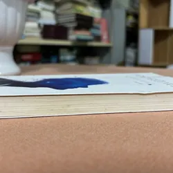 Những người xa lạ 🌊 593993