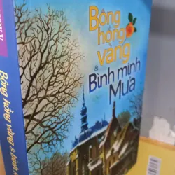 bông hồng vàng và bình minh mưa 999130