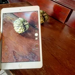 Ipad mini 2,xài tốt,chụp đẹp,loa rõ 720377