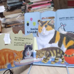 Sách: Kitten - Mèo con - Emma Books - Sách tiếng Anh cho bé 971922