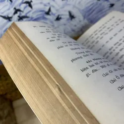 Logic và Tiếng Việt - Nguyễn Đức Dân 760490