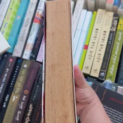 Mộng hoa xuân 957181