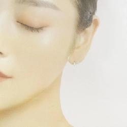 PT900 Bông tai kim cương 0.22CT - Hàng hiệu Chính hãng 867037