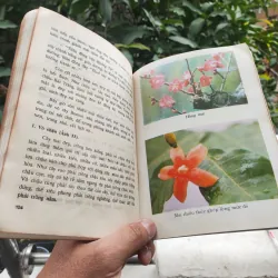 Kỹ Thuật Trồng Và Ghép Mai - Huỳnh Văn Thới 928913