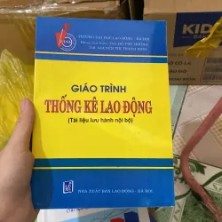 giáo trình  Thống kê Lao động