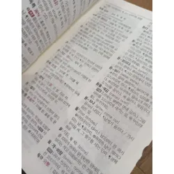 The multi-functional Korean Dictionary for Elementary Schoolers: focusing on Morphological Motivation 561286