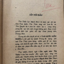 Bí mật mộ Tào Tháo Hồng Lĩnh Sơn 317309