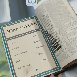 [MIỄN PHÍ BỌC SÁCH] Encyclopedia Americana 30 - Scholastic 750842