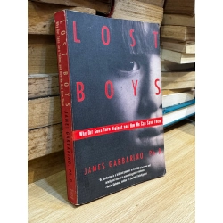 Lost Boys - James Garbarino