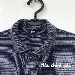 Áo polo trung niên Uniqlo còn mới đẹp. 16762