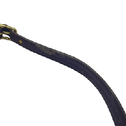 Túi Coach 9823 - Hàng hiệu Chính hãng 804777