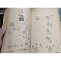 Tự luyện Aikido - Oratti ( khổ dài ) 128427