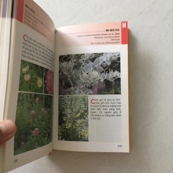 Từ Điển Tranh Về Các Loài Hoa - Lê Quang Long chủ biên 545524