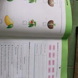 [Sách tiếng Anh tăng cường lớp 3] Digi Science - NXB Giáo Dục  1018986