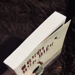 Người đua diều 933803