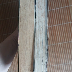 Sách Xách ba lô lên và đi 451528