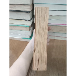 The mad monk of Gidleigh - Michael Jecks 739640