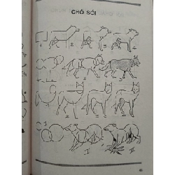 Tự học vẽ: Cách vẽ động vật - Trần Thế Trọng 784467