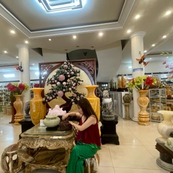 Sét áo nhung the + quần xuông lụa 491415