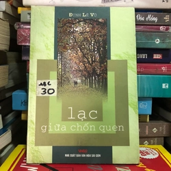 Lạc giữa chốn quen - Đinh Lê Vũ