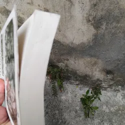 Phan Thanh Giản nhà ái quốc, người mở đường cho nước Việt Nam hiện đại  1030130