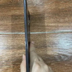 Mahatma Gandi - Michael Nicholson (8) 1004041