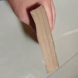 Đặng Tiểu Bình - Richard Evans 1001107