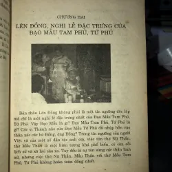 Lên đồng - Hành trình của thần linh và thân phận - Ngô Đức Thịnh 933211