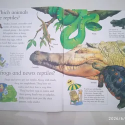 Sách tiếng Anh I Wonder Why Snakes Shed Their Skin - Mới 90% 1066699