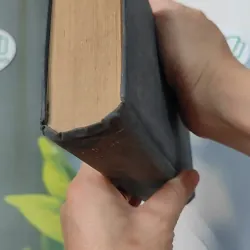 Pocket Oxford Dictionary (1959) 749404