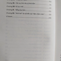 Đường xanh viễn xứ 533937