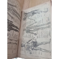 Nouveau petit larousse illustré 122487