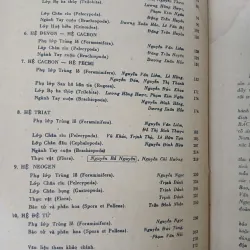 HÓA THẠCH ĐẶC TRƯNG Ở MIỀN BẮC VIỆT NAM 687720