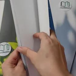 Động vật: Sống dưới nước, bò sát và côn trùng - An Khánh 1018832