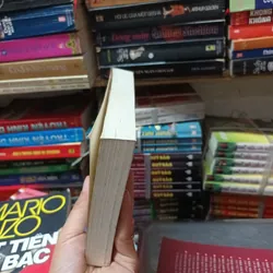 Người Vợ Người Tình- Danielle Steel 675612