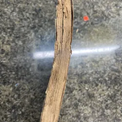 Một ngày của bí thư tỉnh uỷ Trần Bạch Đằng XB 1985 787275