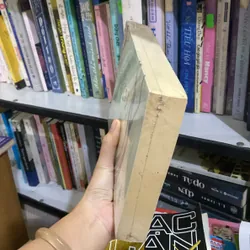Từng bước hoa sen nở  567904