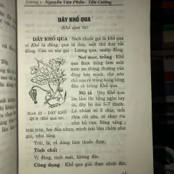 Những cây thuốc nam thông dụng dễ tìm và các bài thuốc gia truyền 781061