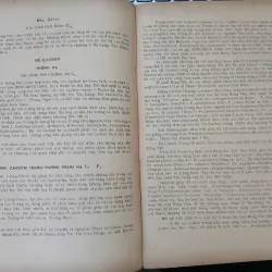 ĐỊA CHẤT VIỆT NAM PHẦN MIỀN BẮC 687503