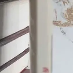 Gót Sen Hồng 737351