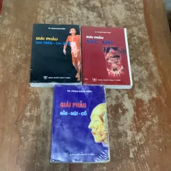 COMBO GIẢI PHẪU ĐẦU MẶT CỔ- GIẢI PHẪU NGỰC - BỤNG & GIẢI PHẪU CHI TRÊN- CHI DƯỚI