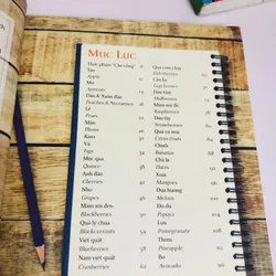 📚 BỘ 4 CUỐN DINH DƯỠNG CHỮA BỆNH 601523