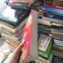 Người Trung Quốc Quốc Tự Trào - Trương Bình Trị - Dương Cảnh Long 1021625