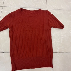 Pass lại đồ đã mặc 446699