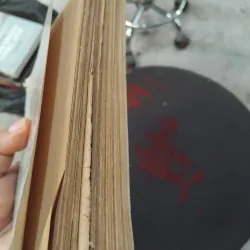 Tử Siêu y thoại  1031058